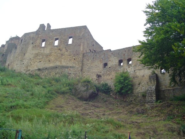 Photograph