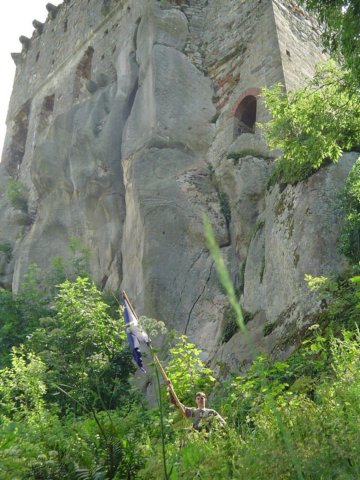 Photograph