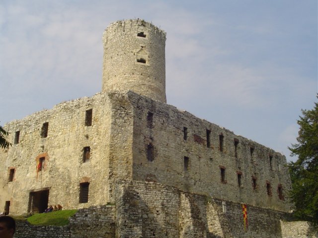 Photograph