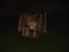 Photo Number 11