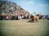 Photo Number 8