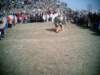 Photo Number 11